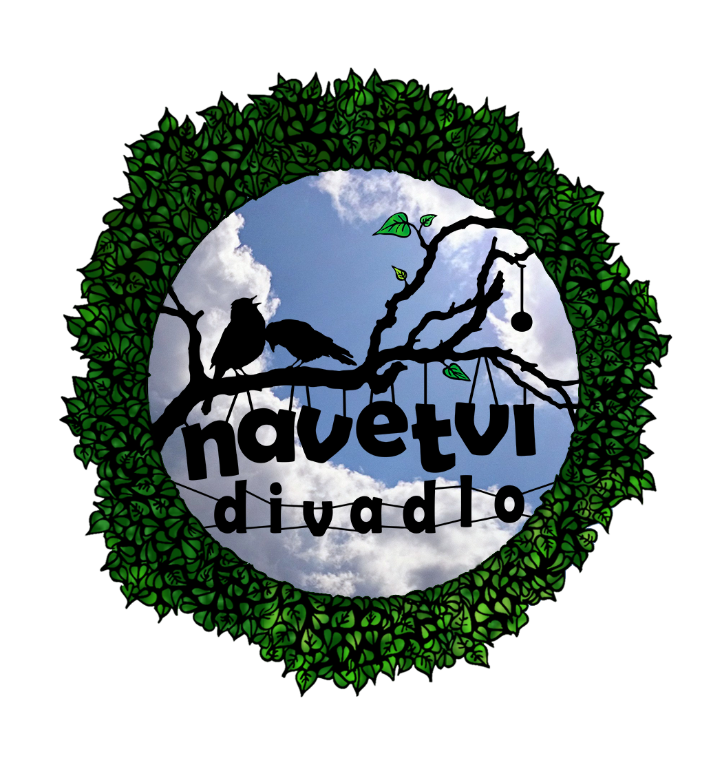 Logo DN